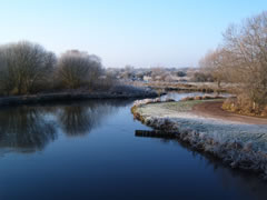 Coarse Fishing the river